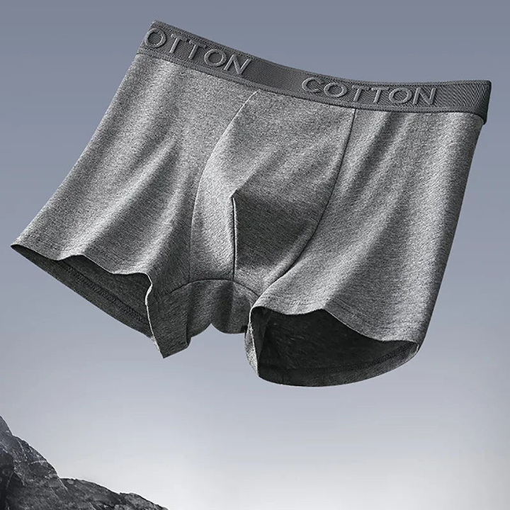 Heren Boxershorts | Slimfit | Elastische Taille | Zomer