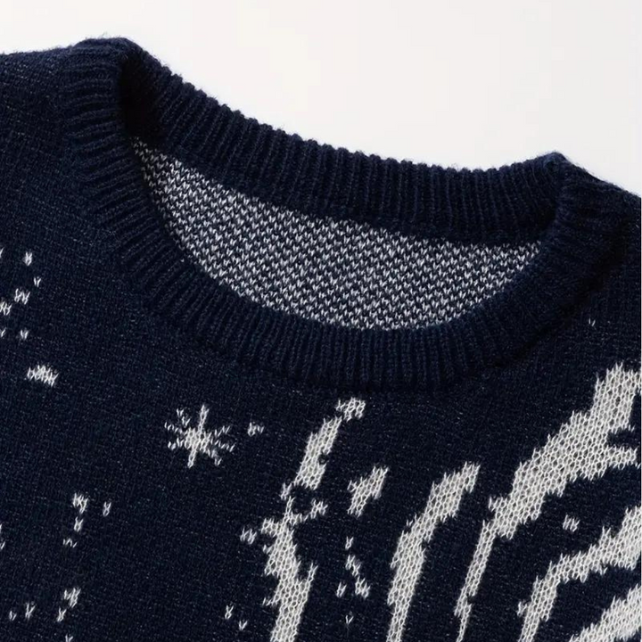 Gebreide trui met kosmische galaxy print voor heren met veelzijdige stijl en knus comfort | James