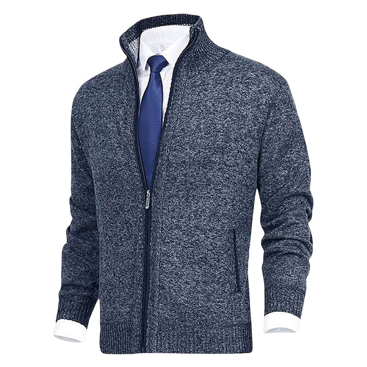 Heren Ritssluiting Staande Kraag Cardigan in blauw, Klassieke Stijl